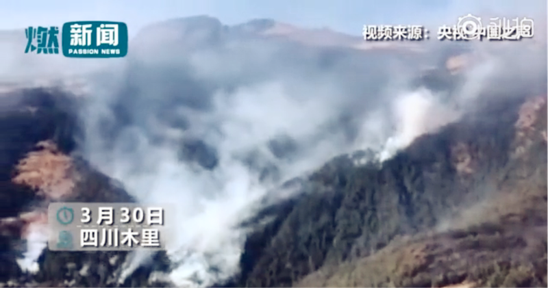 图片1.png 图片1.png